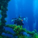 Top Tips to Enjoy an Unforgettable Scuba Diving Experience in Mauritius