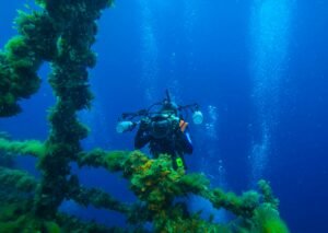Top Tips to Enjoy an Unforgettable Scuba Diving Experience in Mauritius